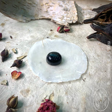 Cargar imagen en el visor de la galería, Ombliguera de Obsidiana Nevada